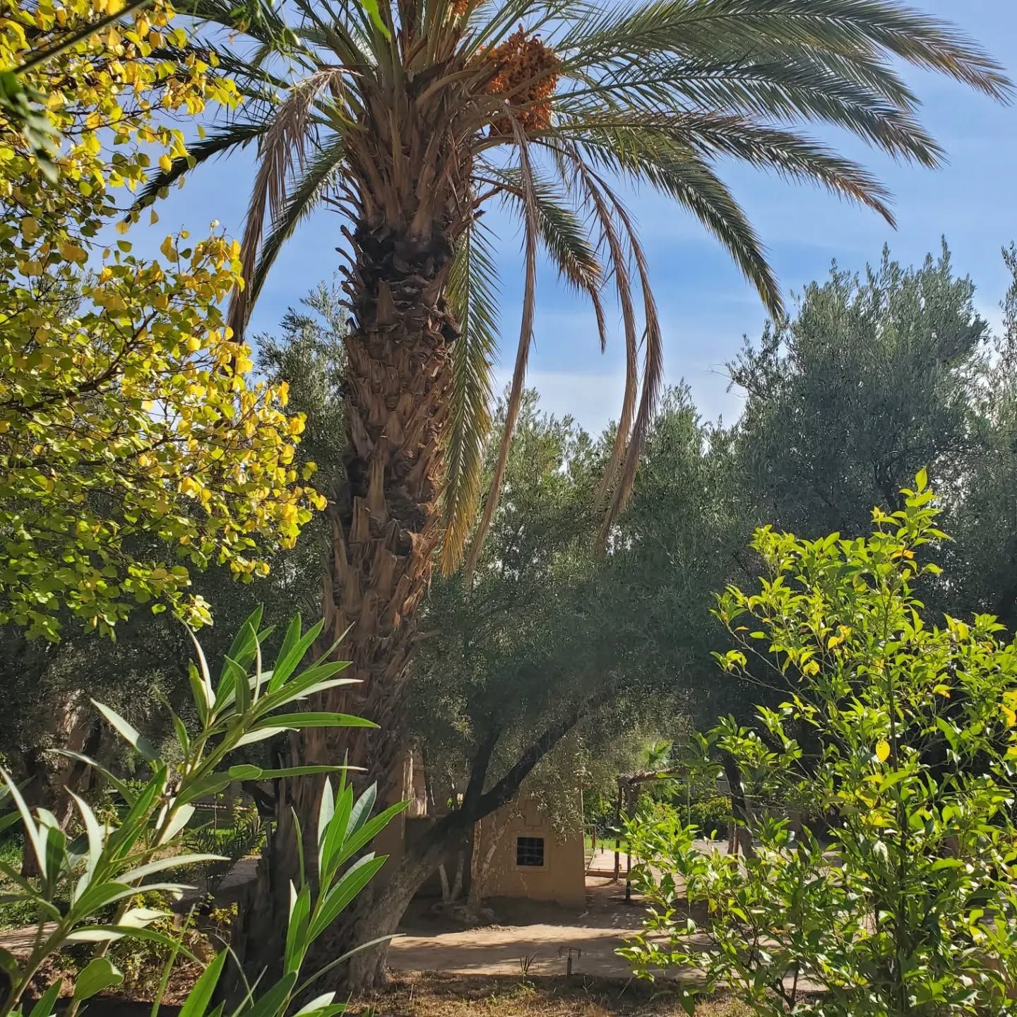 Studio de cinéma de Ouarzazate - View 2