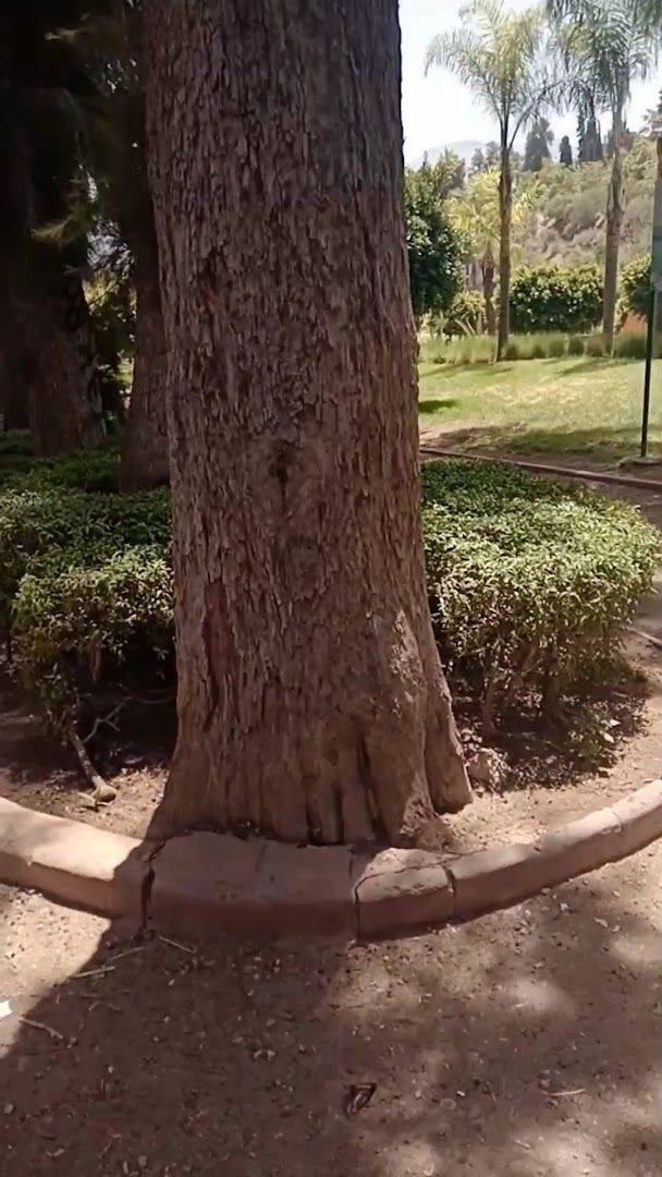 Municipal Garden - View 3