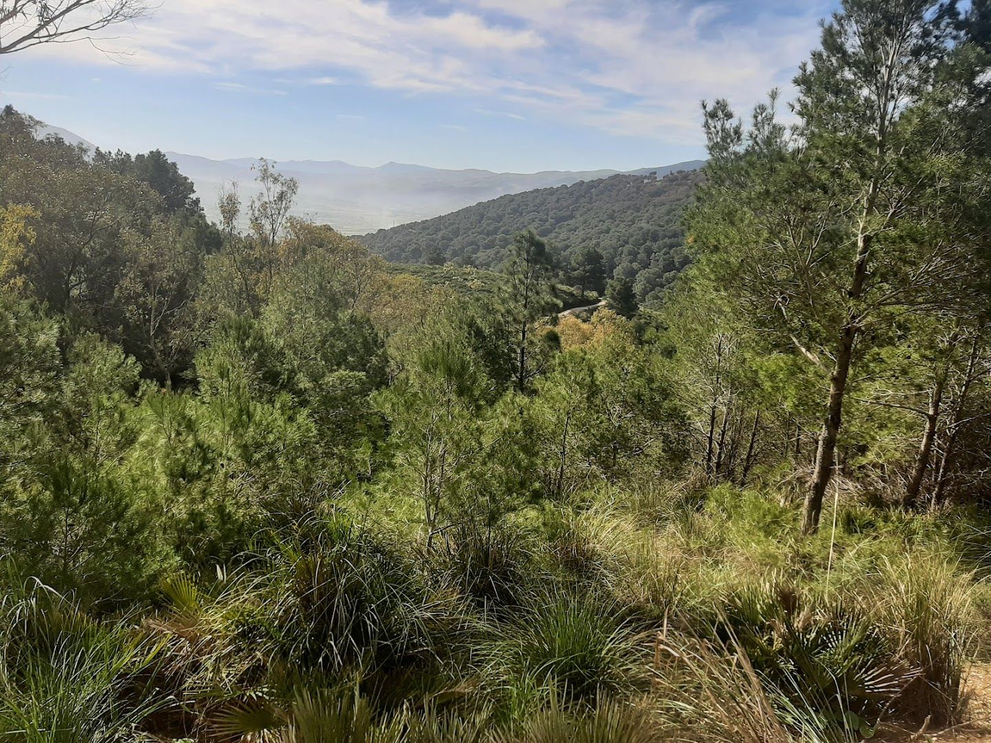 Parque Nakatha