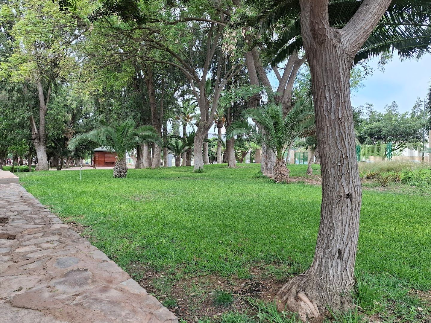 Jardin Iben Zaydoun - View 3