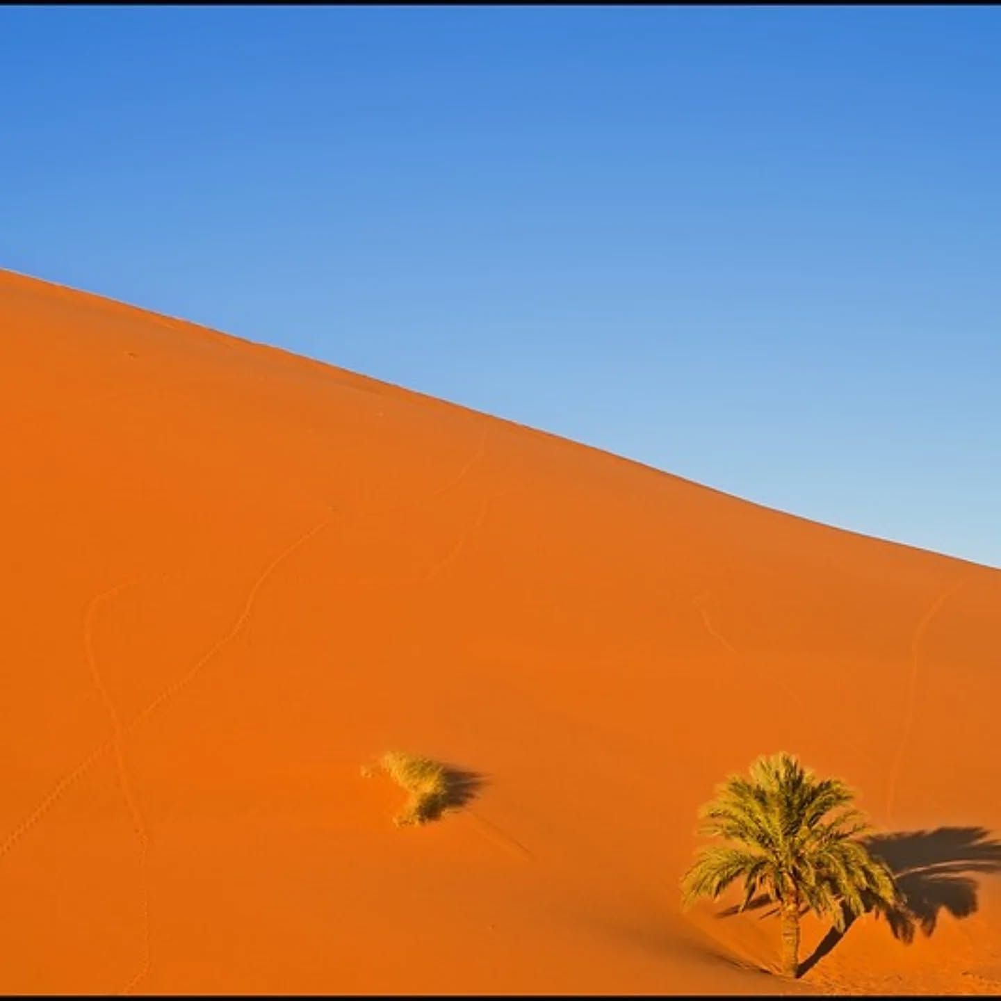 Erg Chebbi - View 2