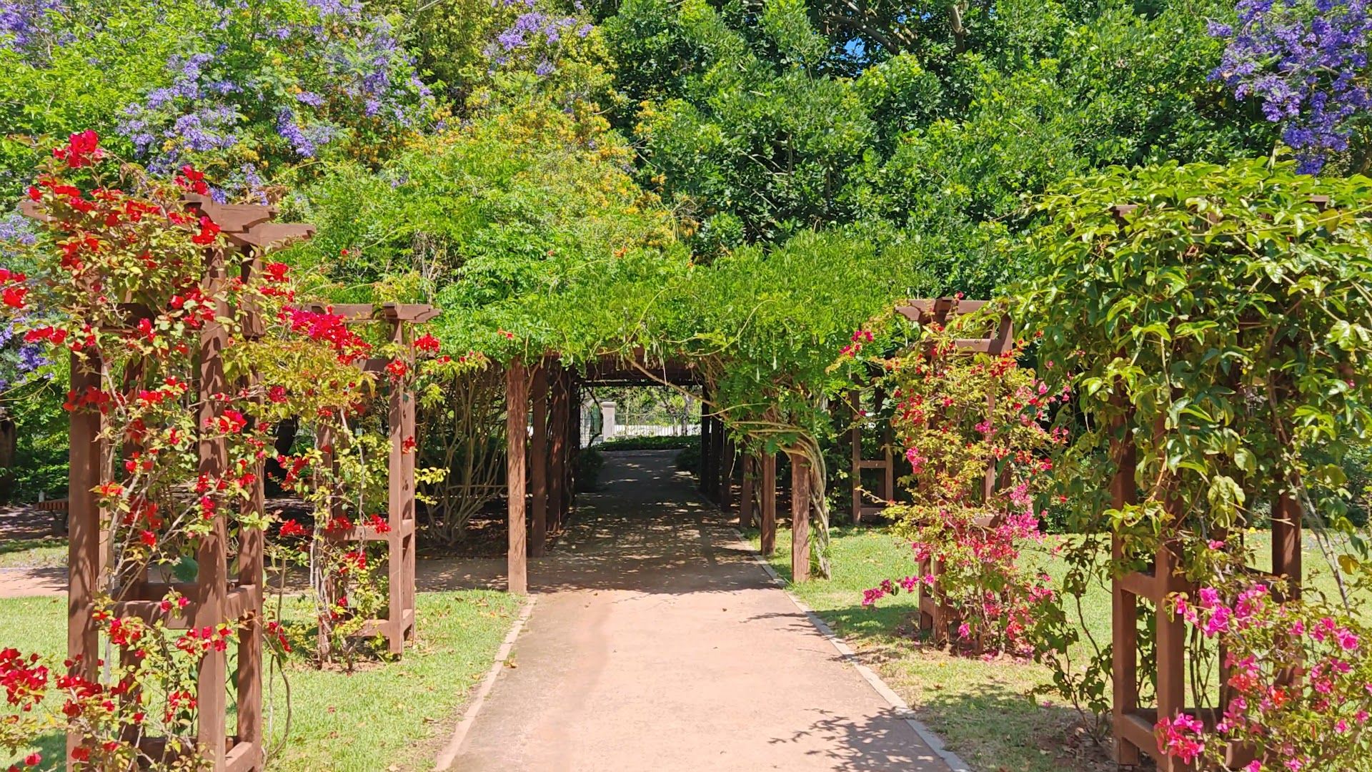 Botanical Garden