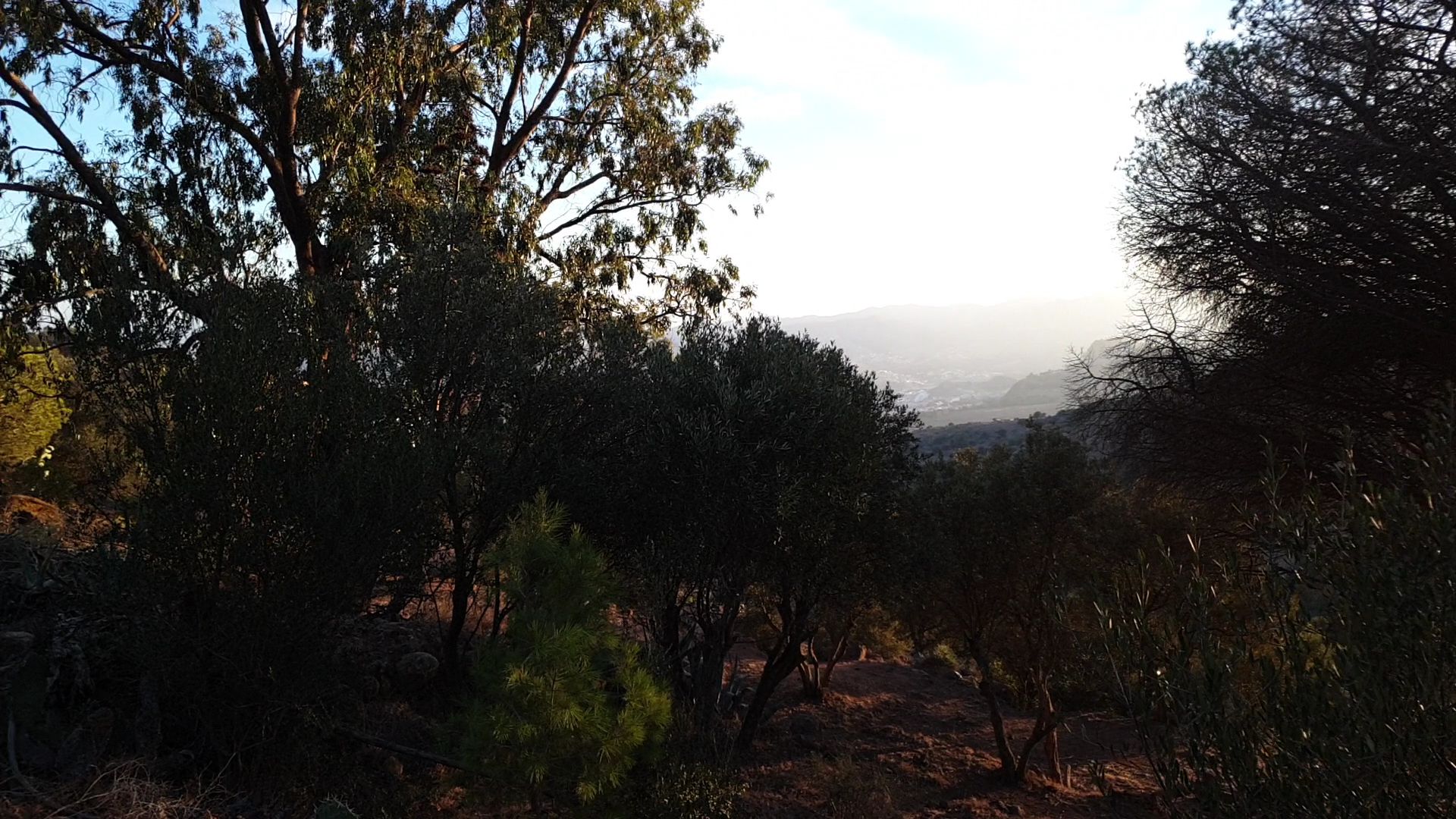 Mont Gourougou - View 3