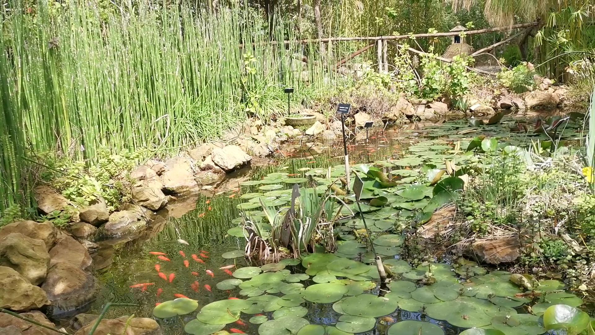 Jardins de Donabo