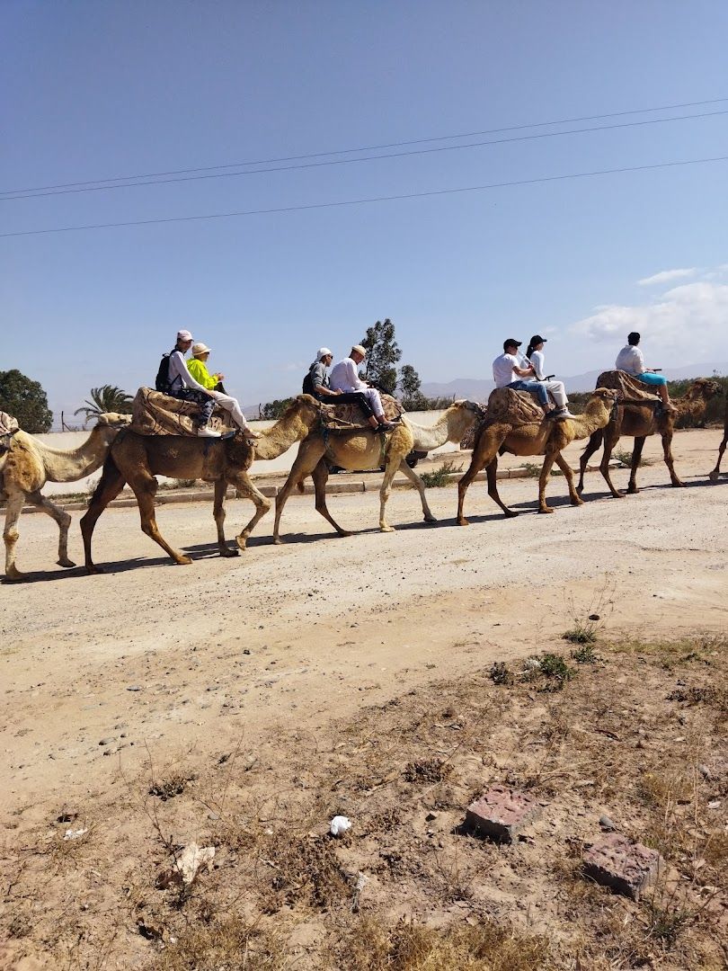 FLEUVE SOUSS - View 2