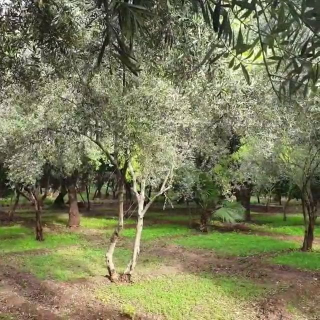 Parc Arsat Moulay Abdesalam - View 3