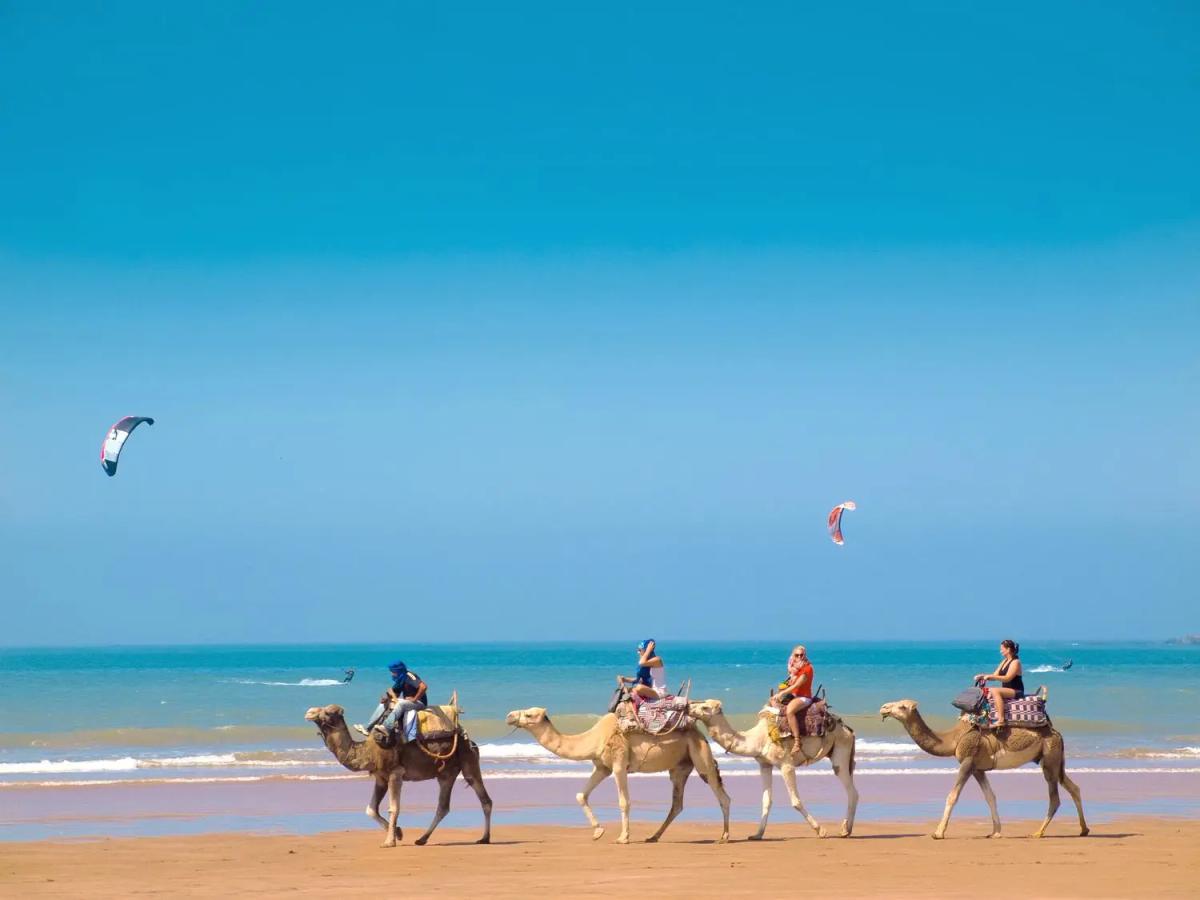The Best Time to Visit Essaouira
