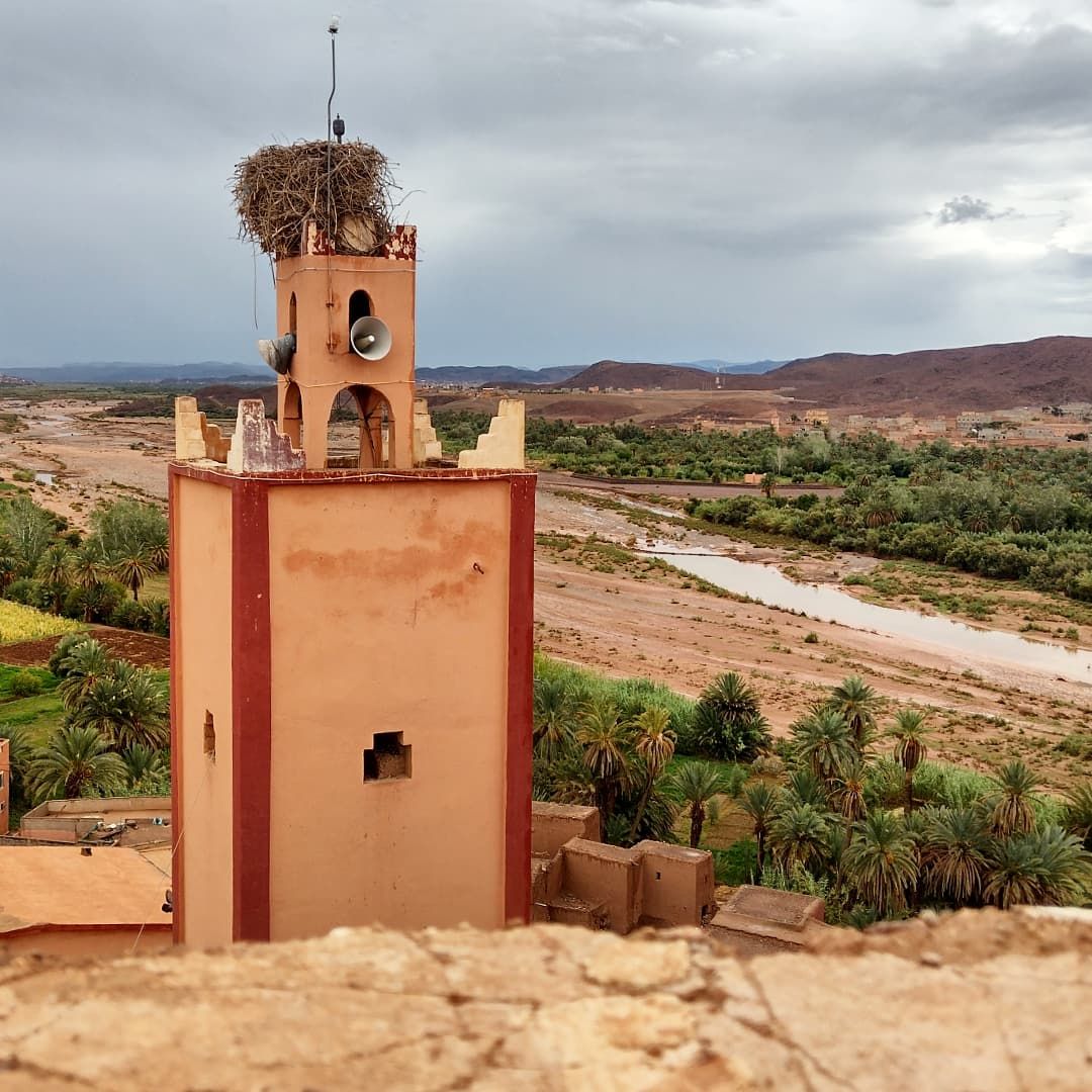 Kasbah de Tifoultoute - View 2