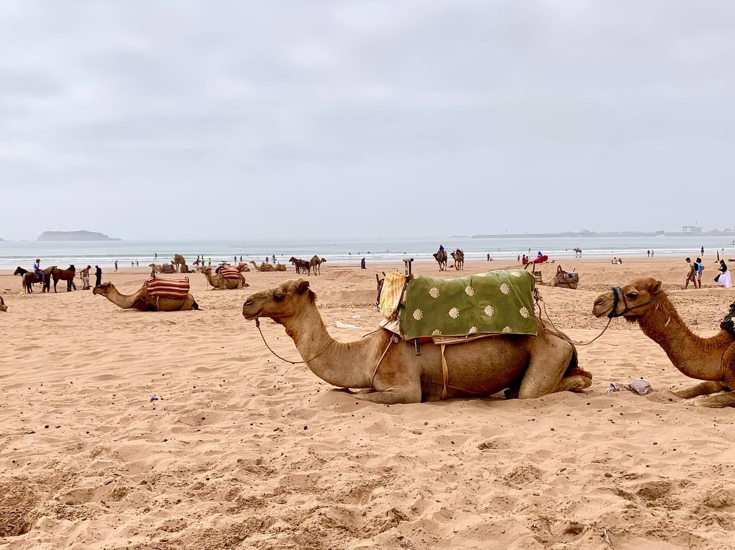 Plage d'Essaouira - View 2