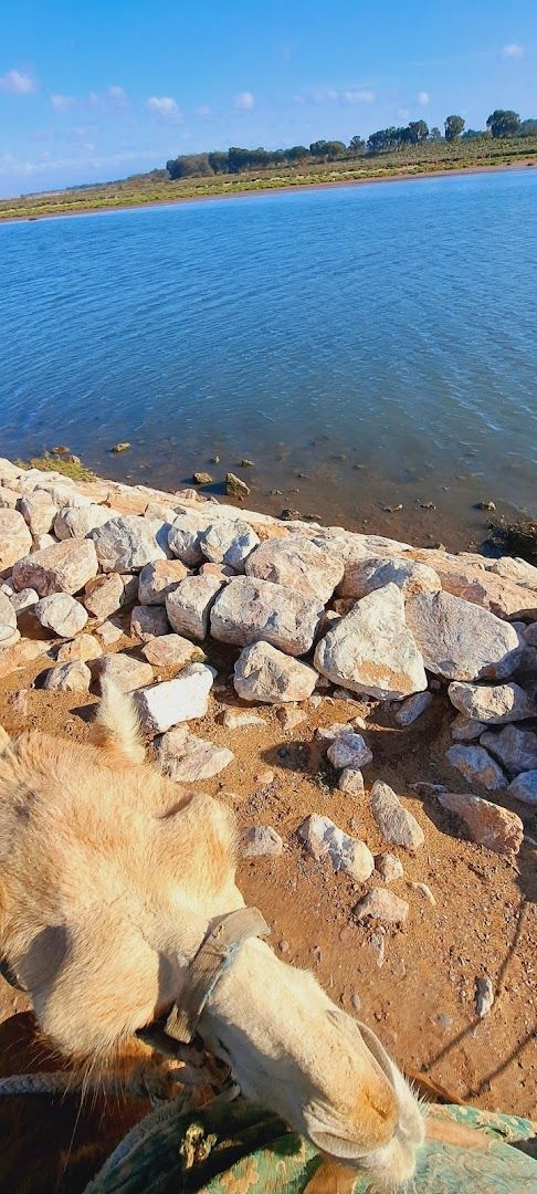 FLEUVE SOUSS - View 3