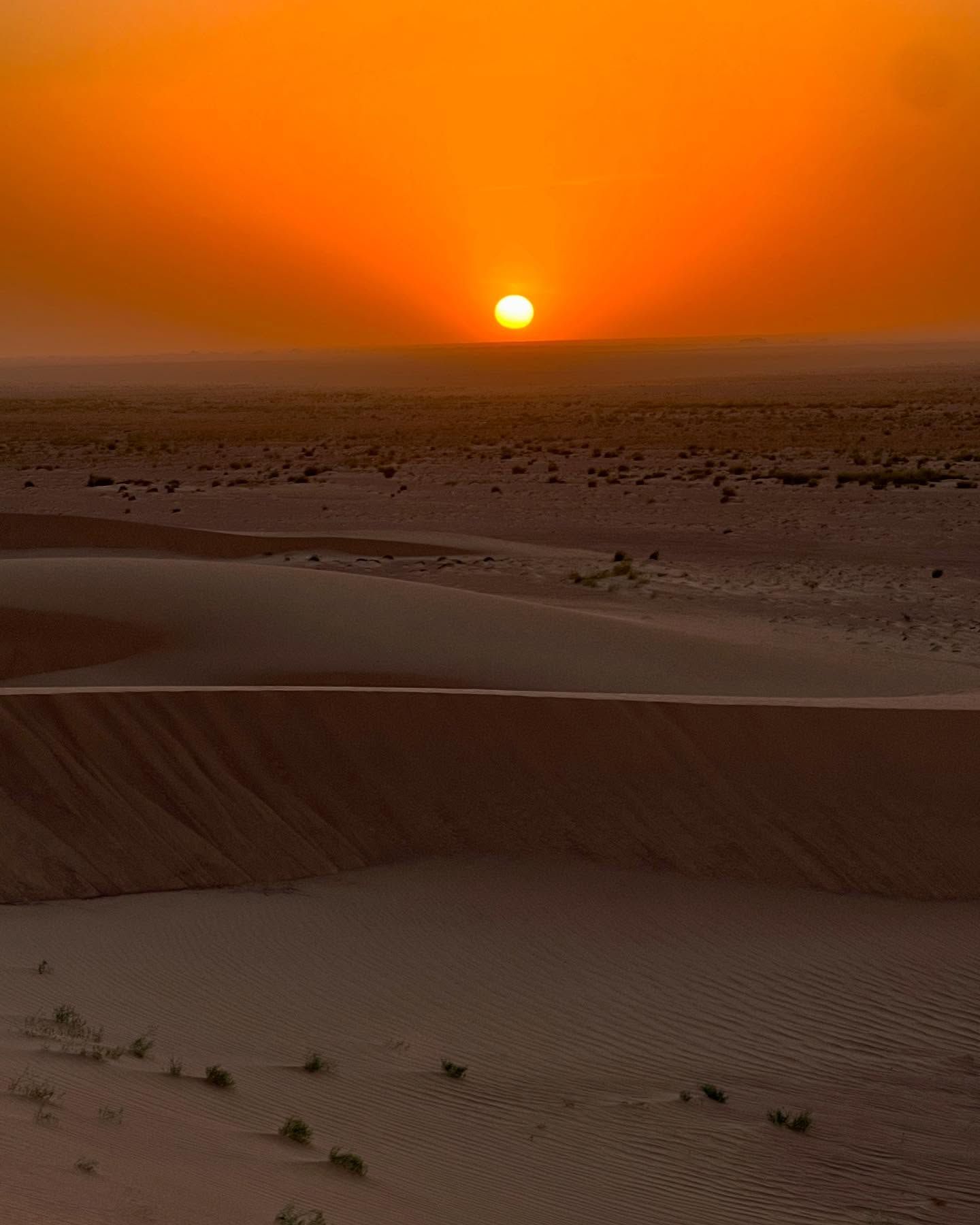 Désert de Zagora - View 2
