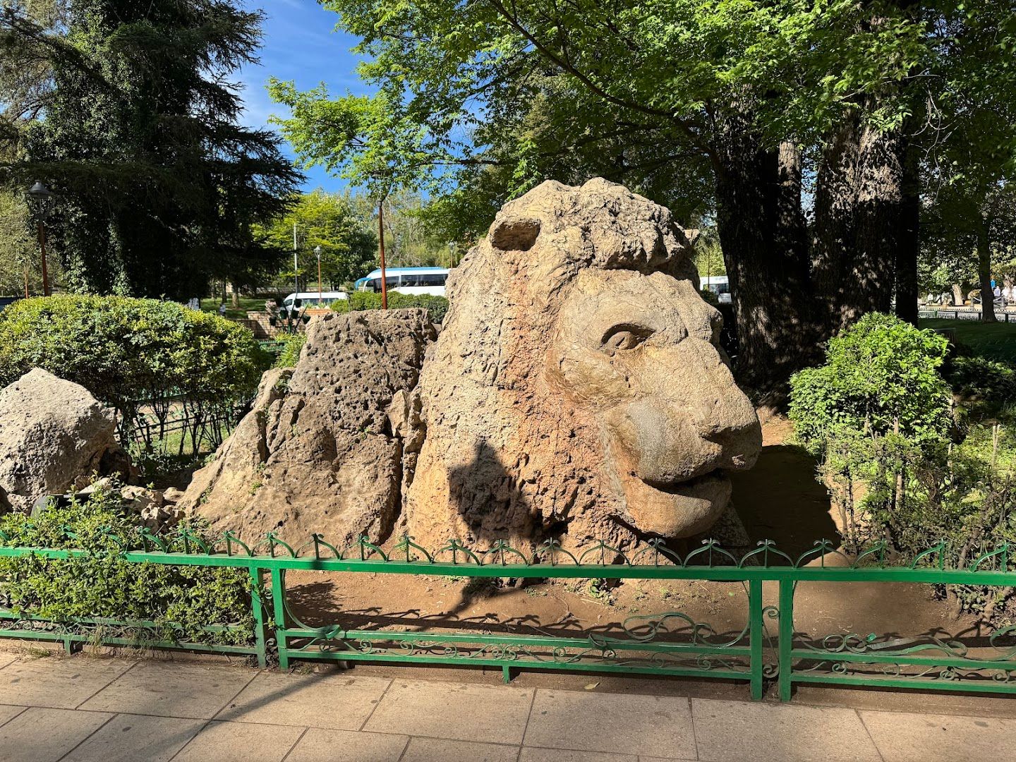Lion d'Ifrane