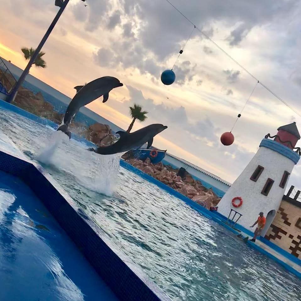 Le monde des dauphins d'Agadir - View 3