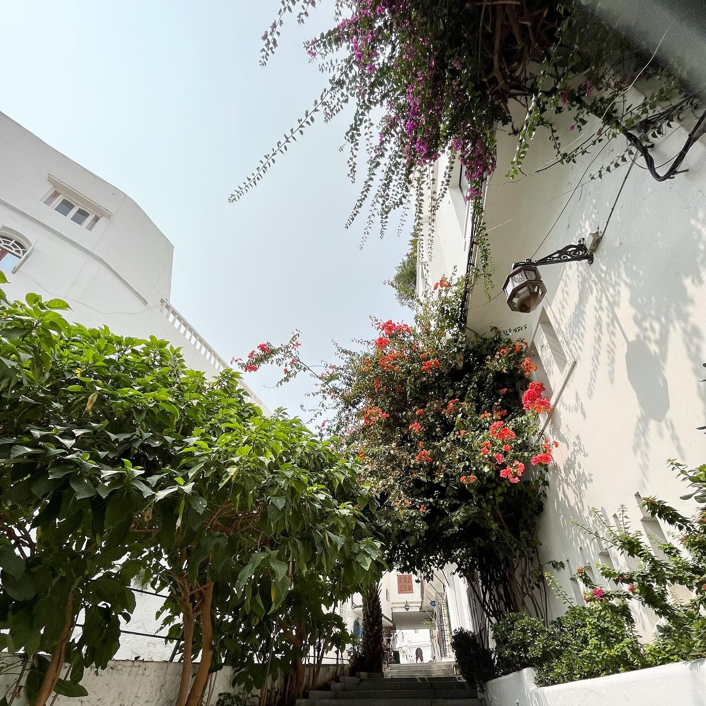 Casbah de Tanger - View 2