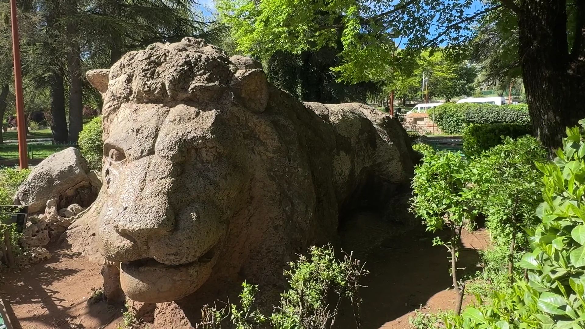 Lion d'Ifrane - View 2