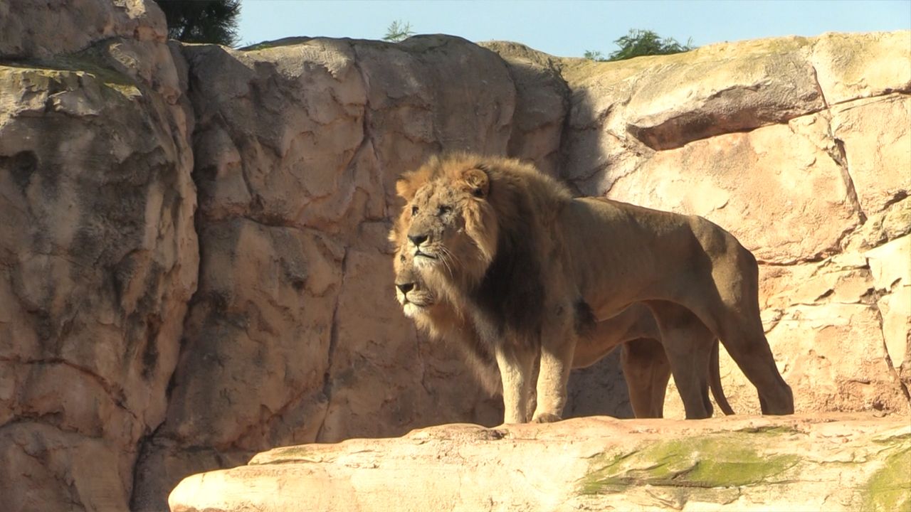 National Zoo Rabat