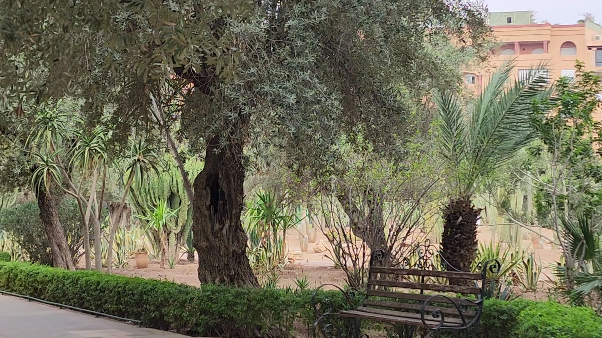 Parc El Harti
