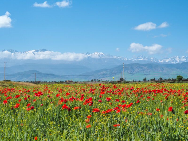 Best Places to Visit in Morocco