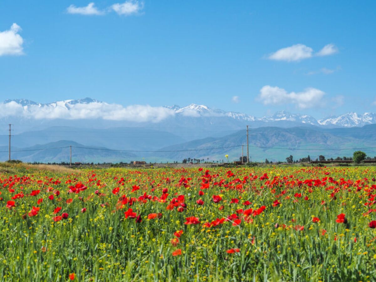 Best Places to Visit in Morocco