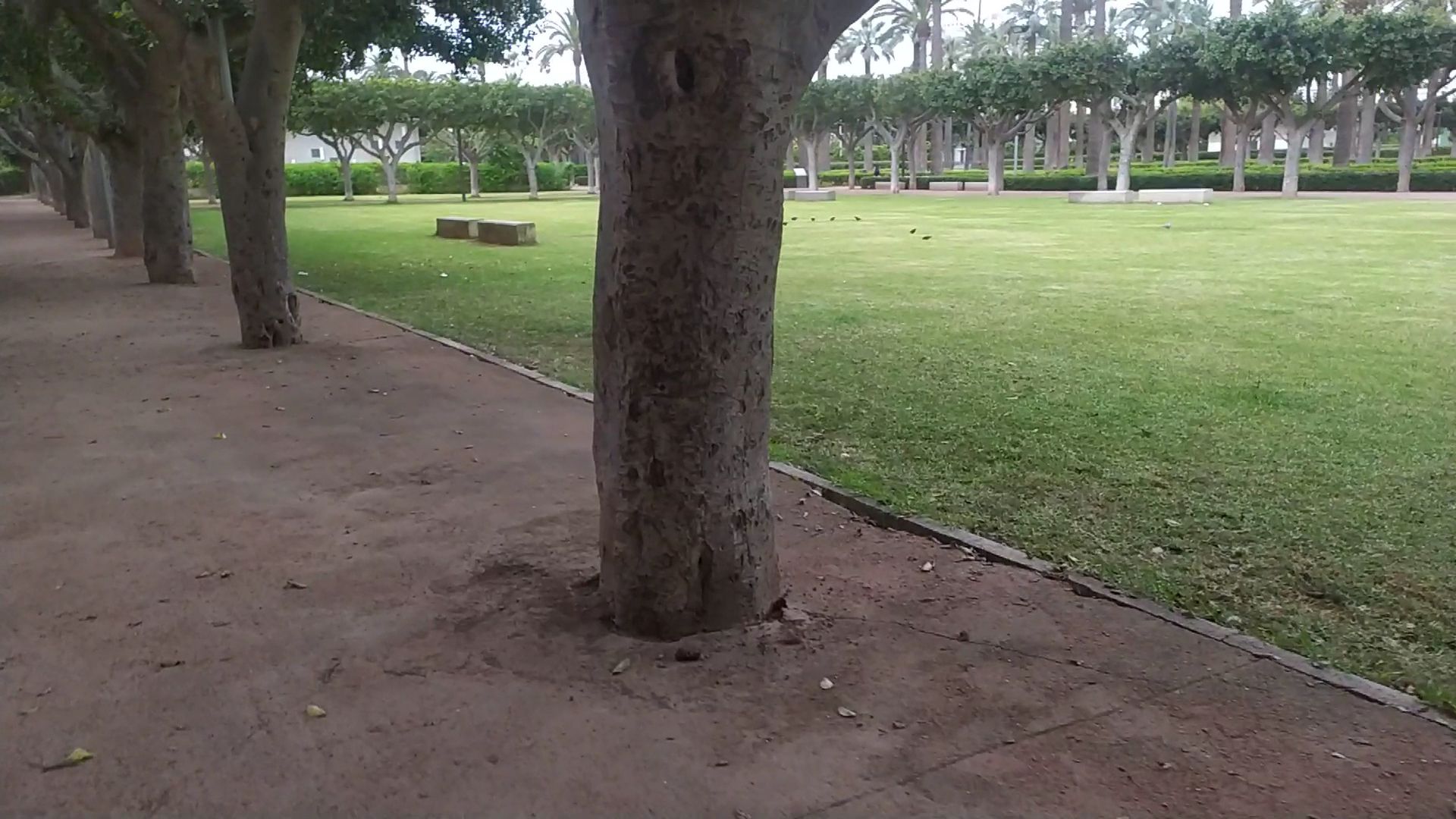 Parc Yasmina pour les jeux - View 3