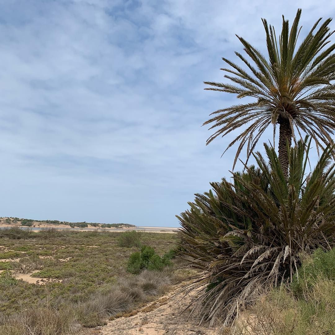 Parc national de Souss Massa - View 3