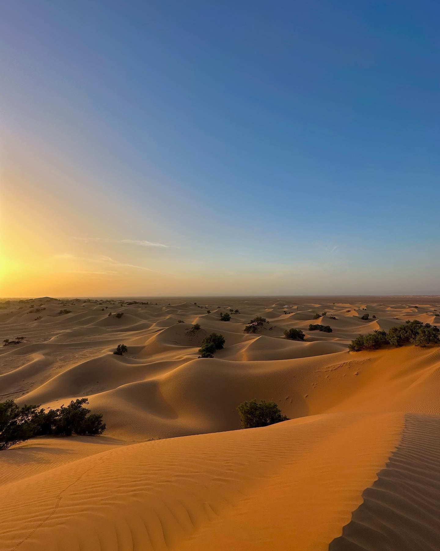 M. Hamid El Ghizlane - View 3