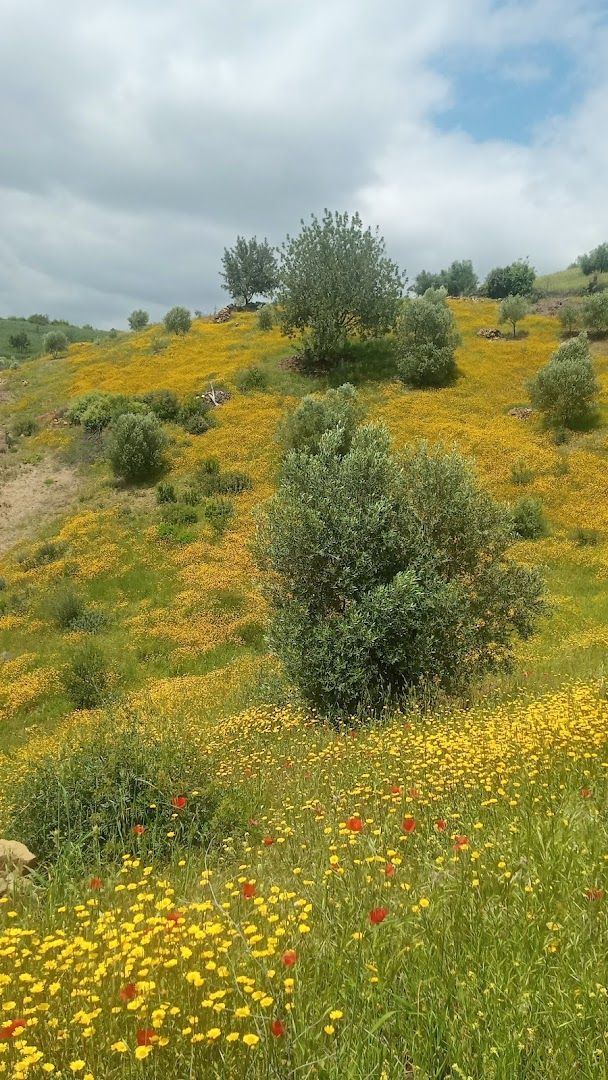 Parc d'Amérique latine - Moulay Elkamel