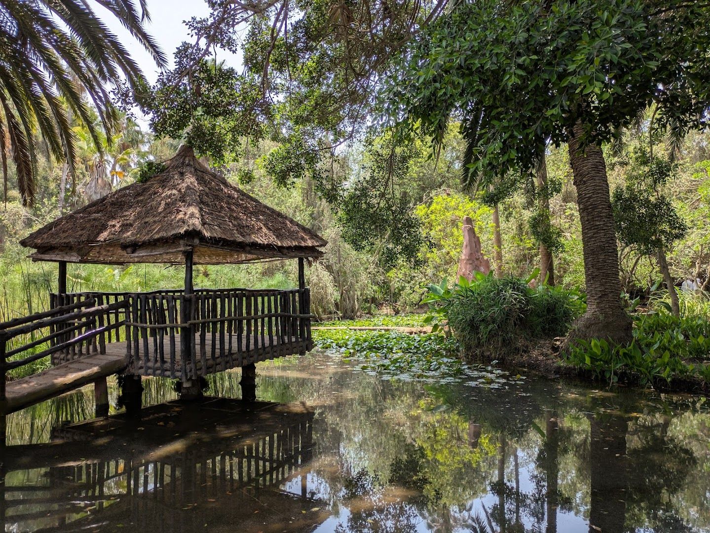 Les Jardins Exotiques de Bouknadel - View 3