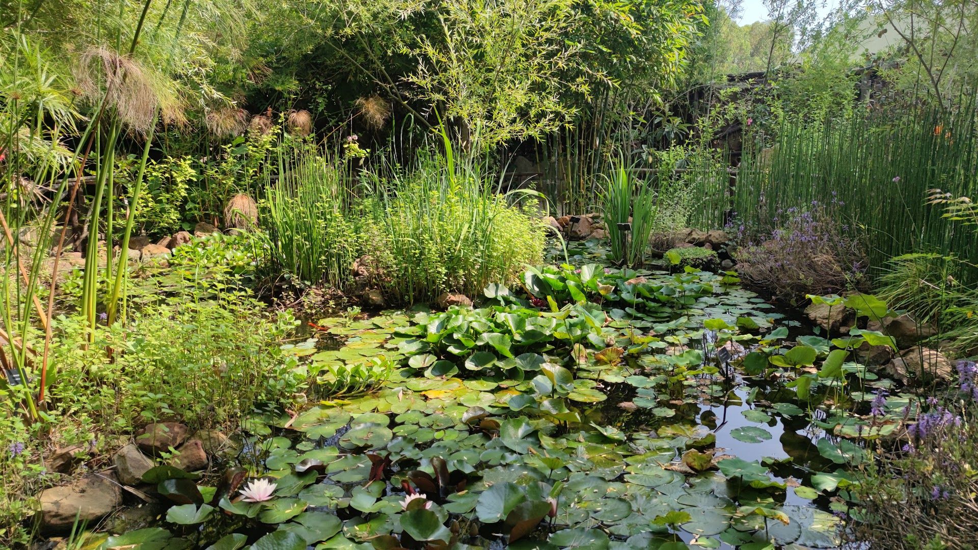 Jardins de Donabo - View 2