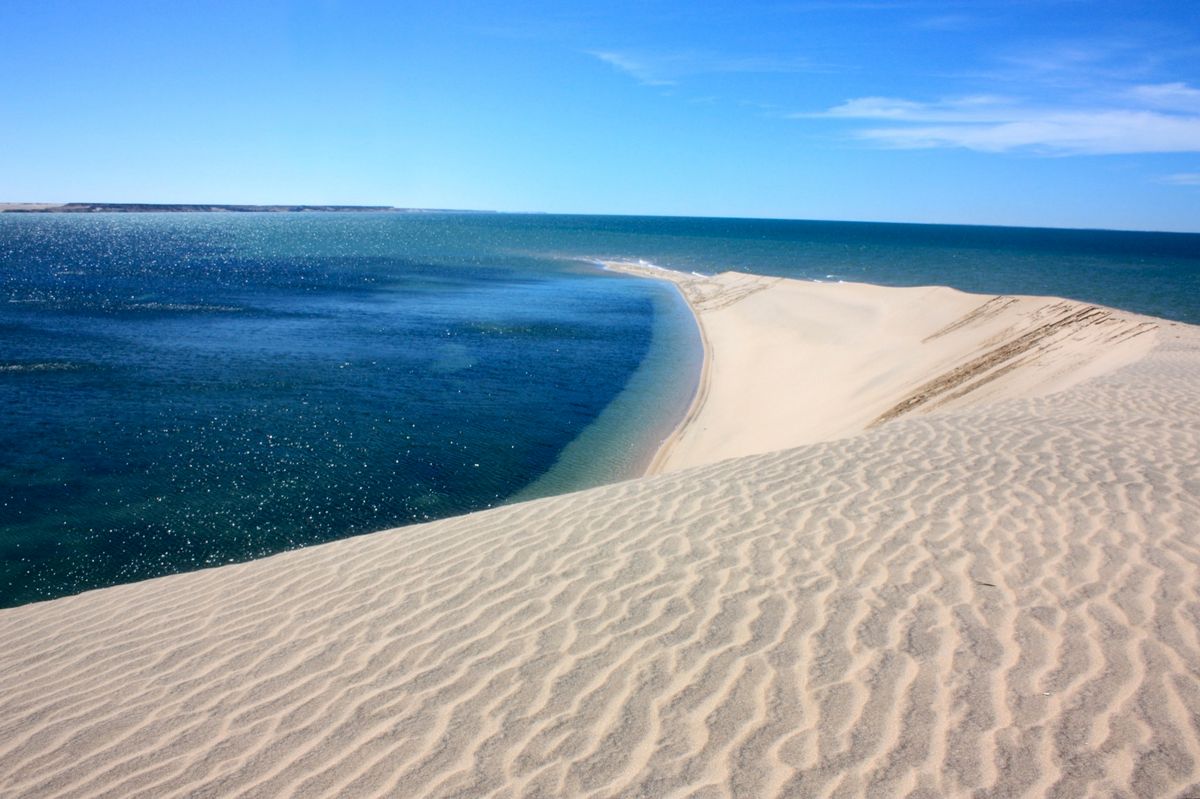 White Dune