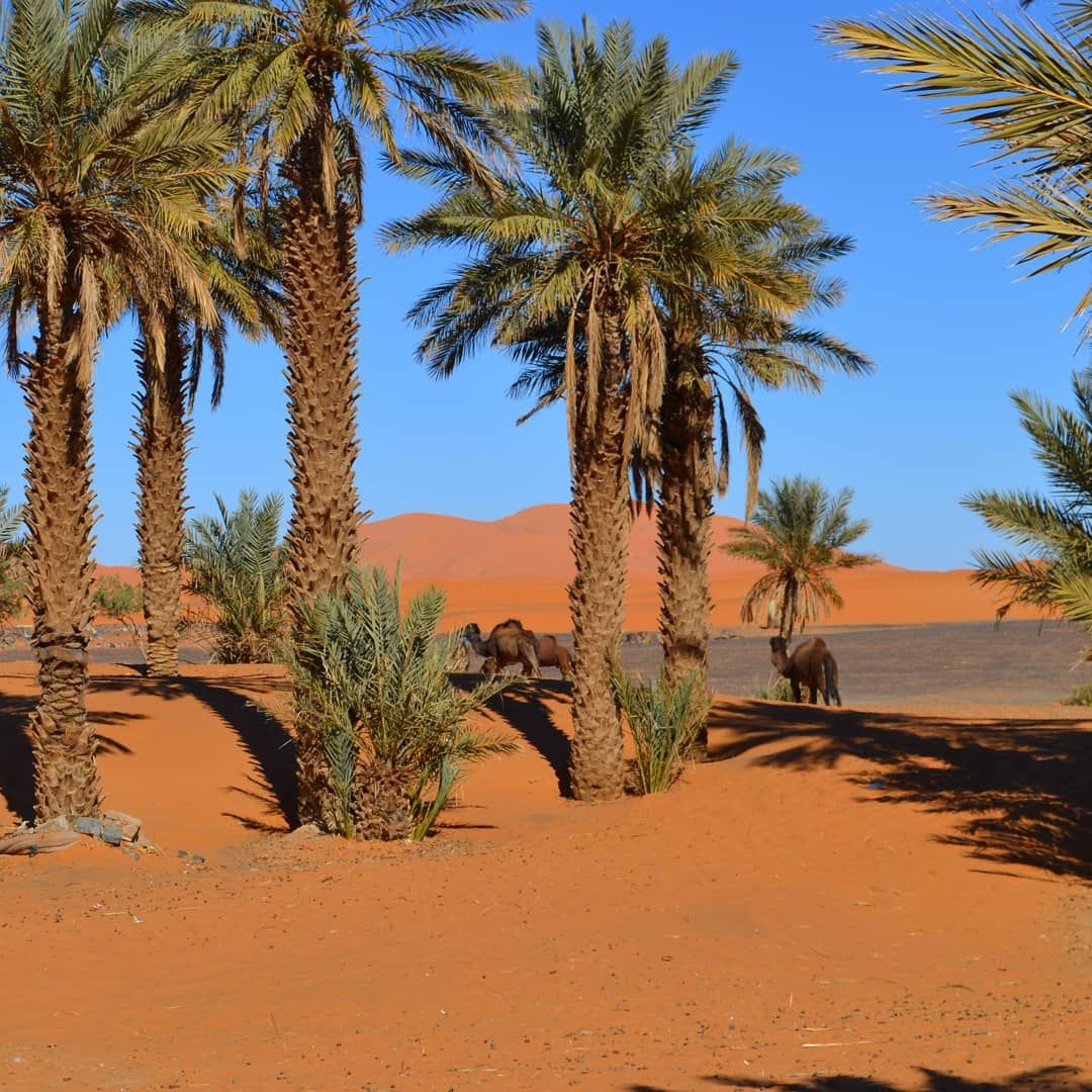 Oasis de Fint - View 3