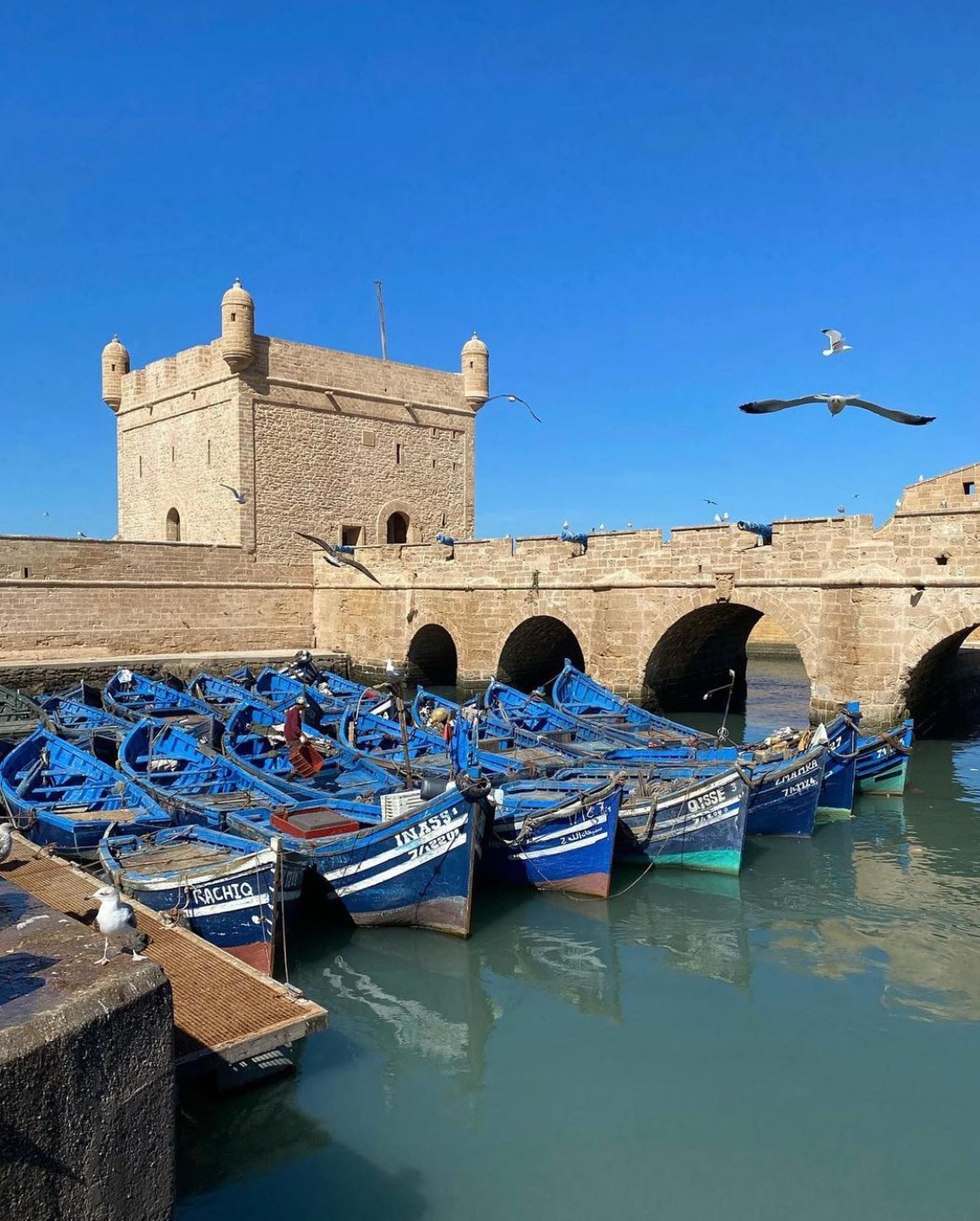 Port d'Essaouira - View 2