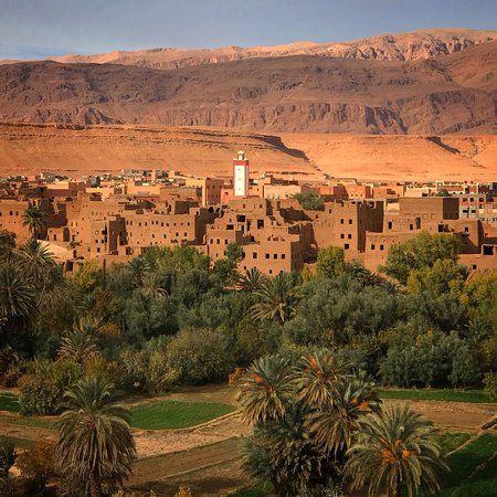 Palmeraie de Tinghir - View 2