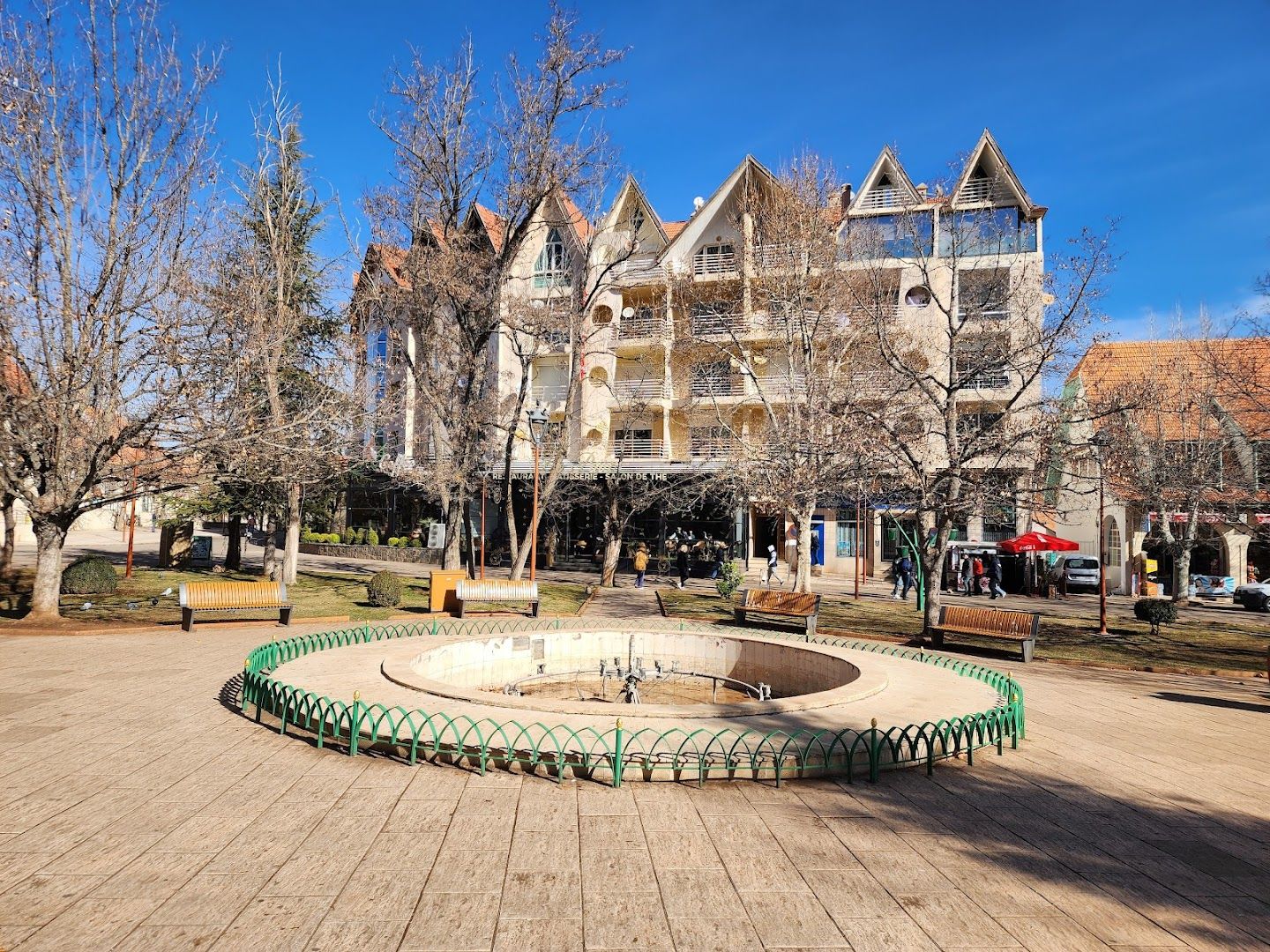 Lion d'Ifrane - View 3