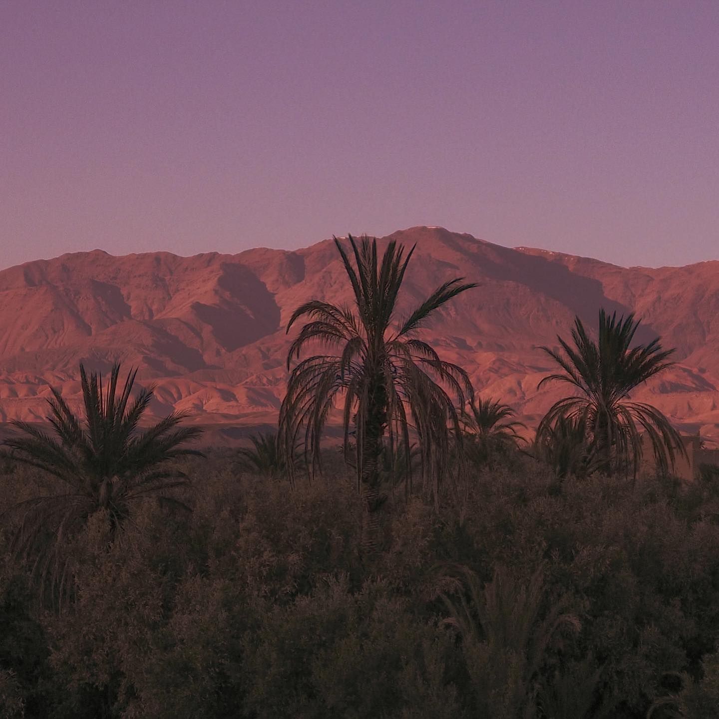 Oasis de Skoura - View 3