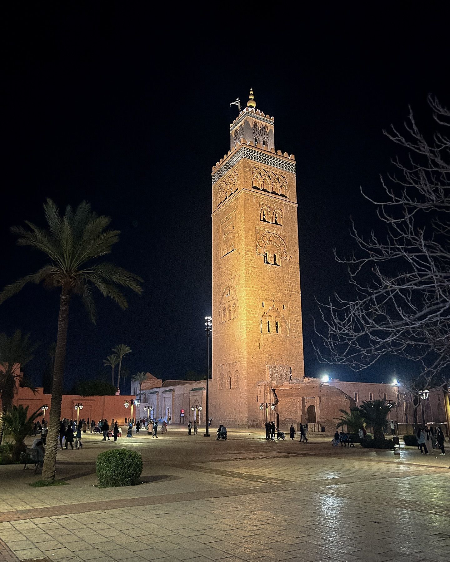 Mosquée de la Koutoubia - View 3