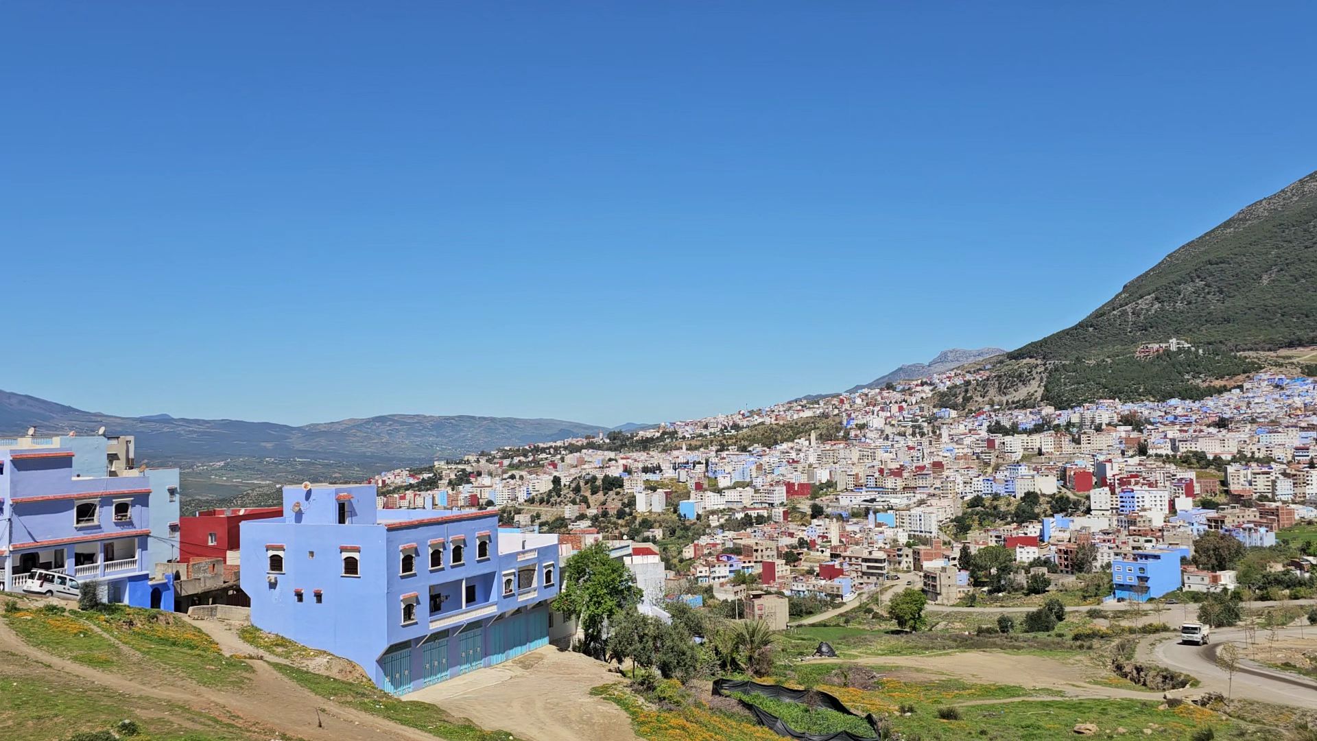 Riyad Al Ochak