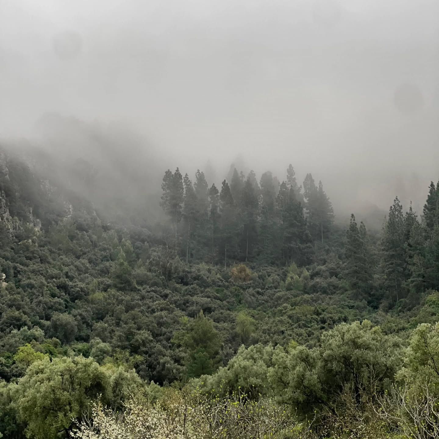 Parc naturel de Bab Rmila - View 3