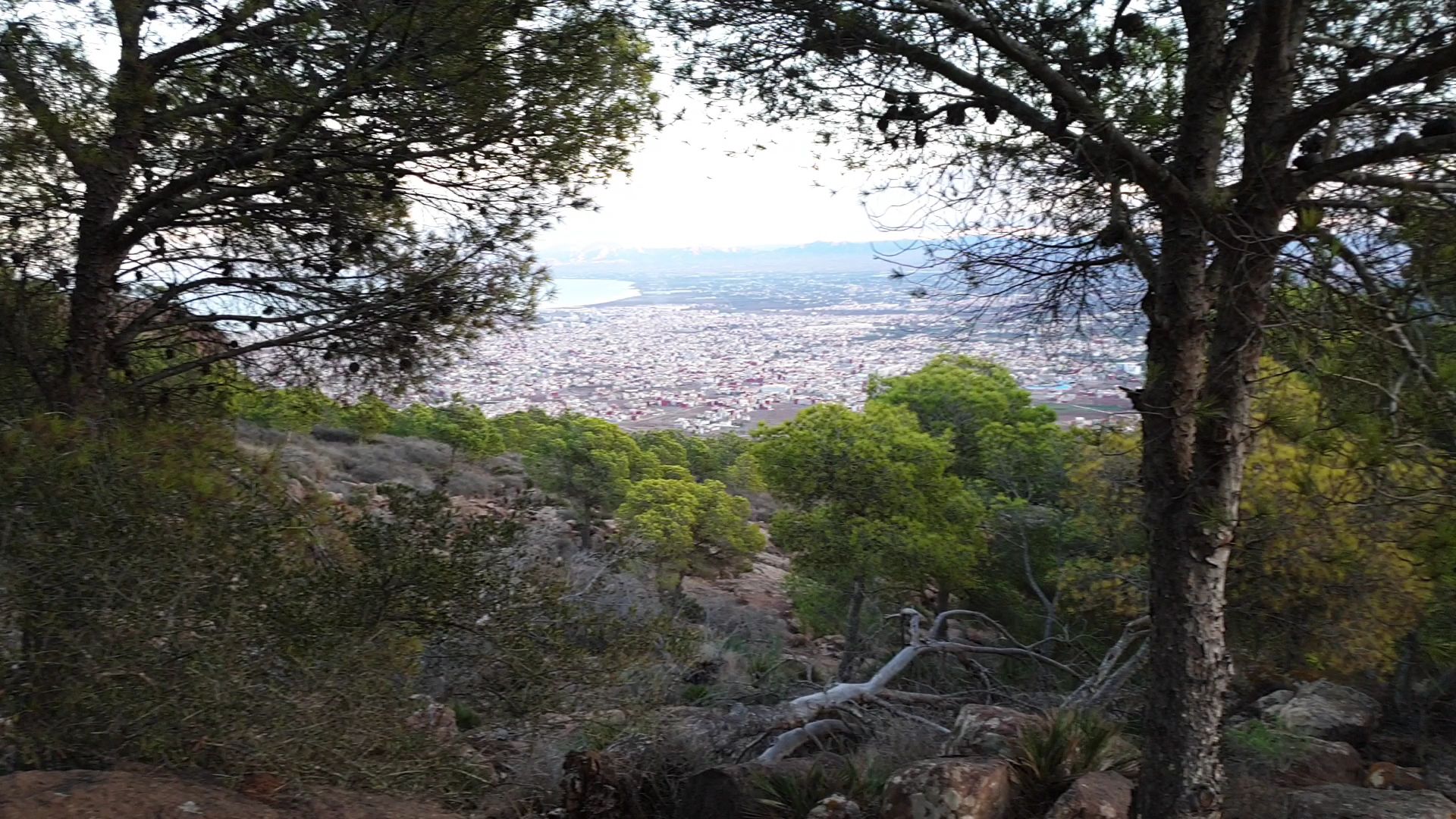 Mont Gourougou - View 2