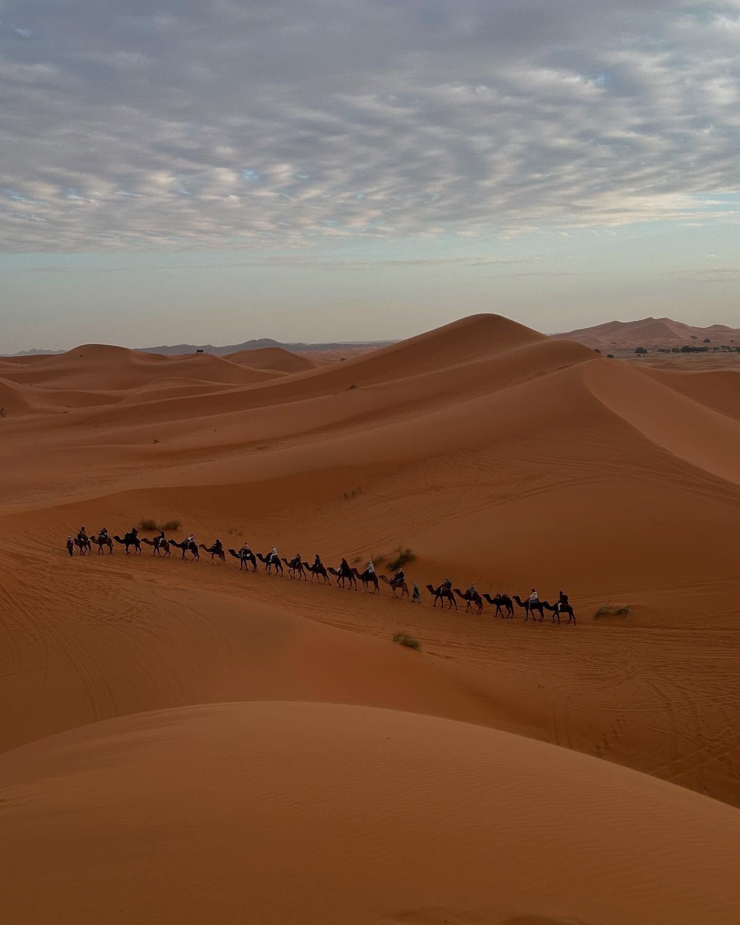 Erg Chebbi - View 3