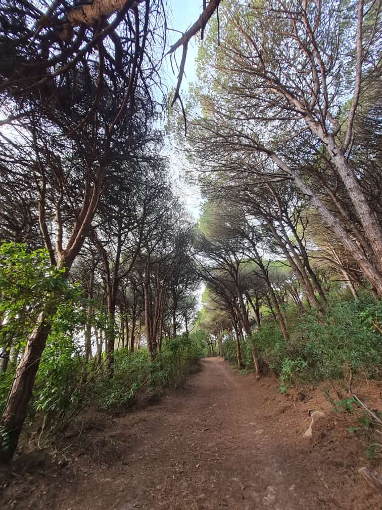 Parc Rmilat - View 3
