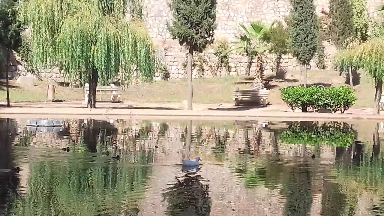 Municipal Garden - View 2