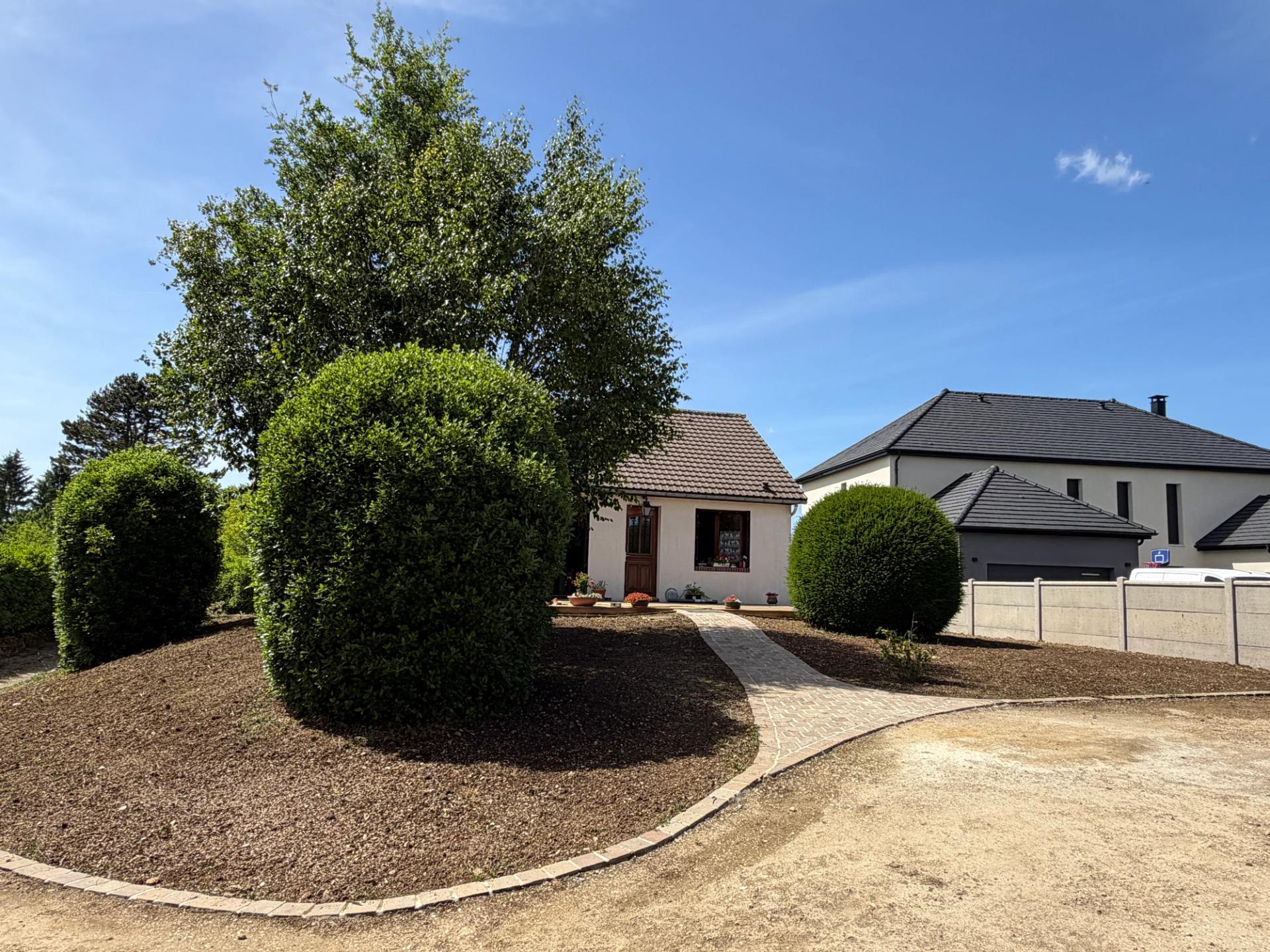 Terrain préparé et semé devant une maison, entre des arbustes taillés en boule et une allée pavée