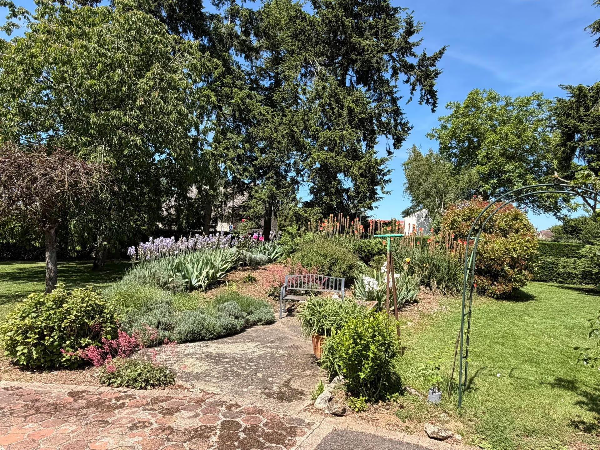 Massif d’iris et de lavandes bordant une allée, dans un grand jardin arboré
