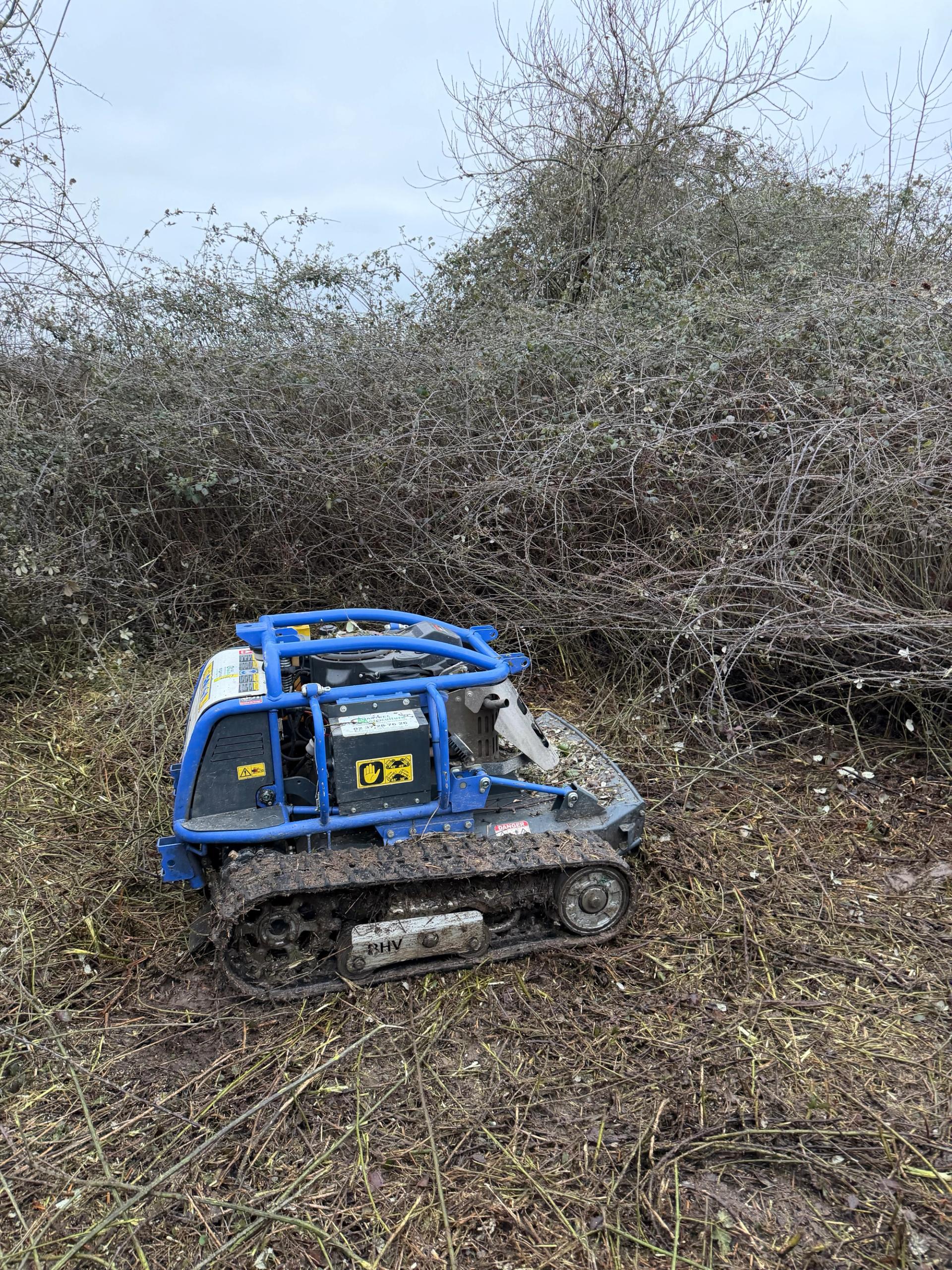 Robot débroussailleur