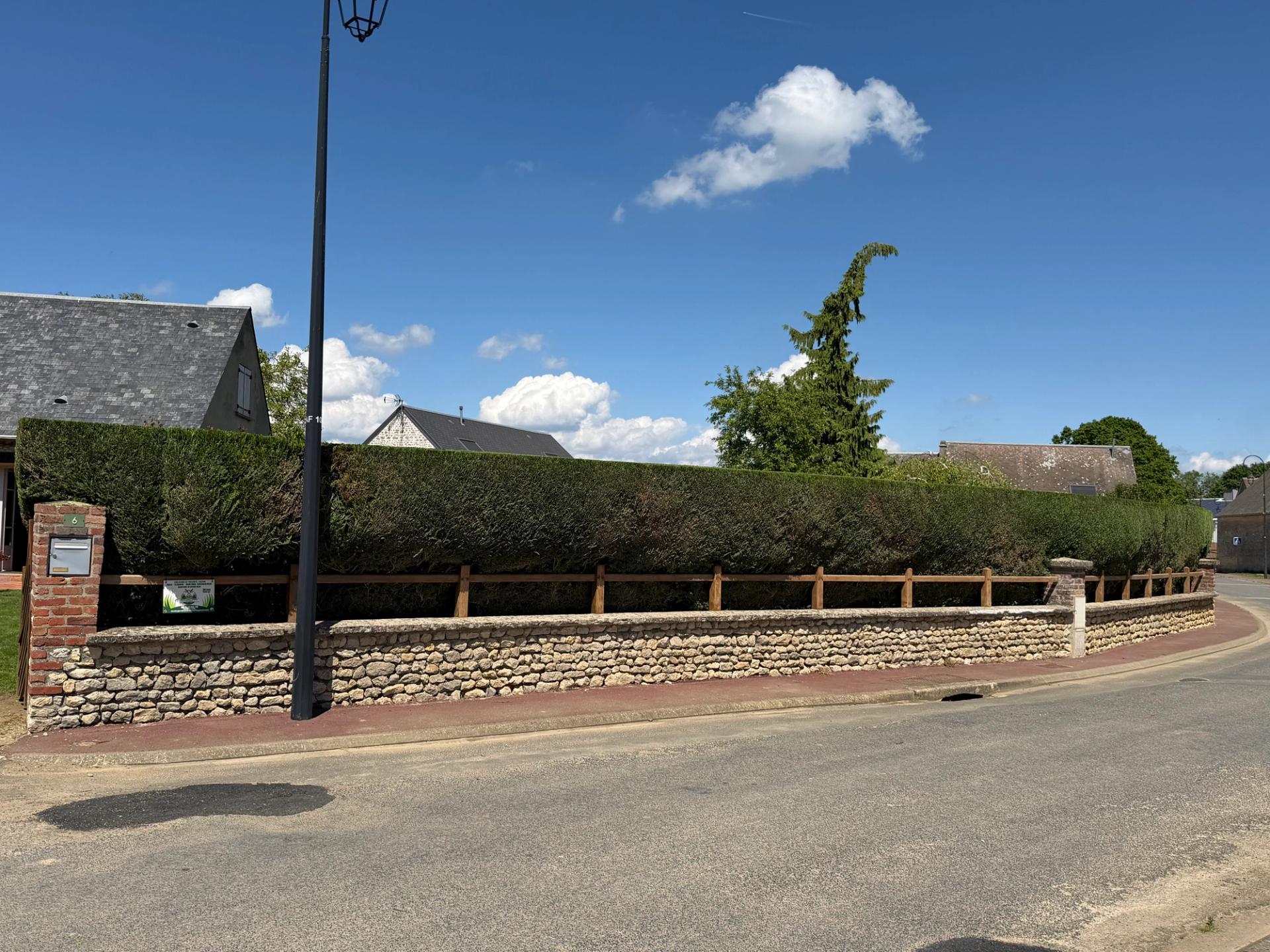 Haie taillée au carré le long d’une rue de village
