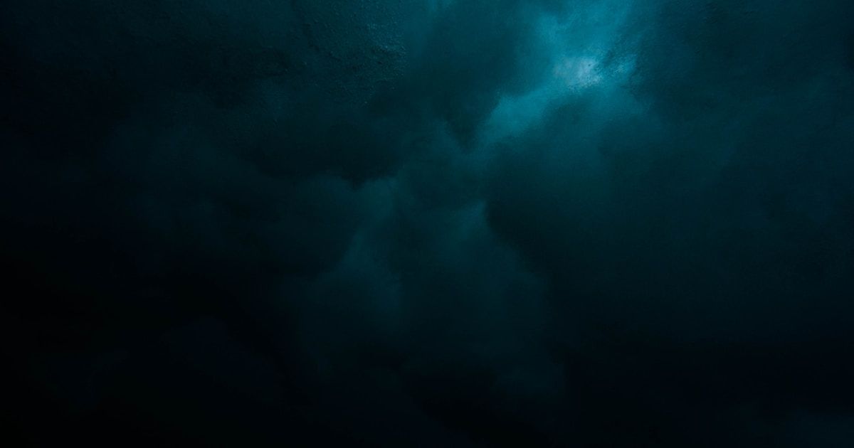 Dark atmospheric scene with focused light emerging — representing how the brain filters for salience