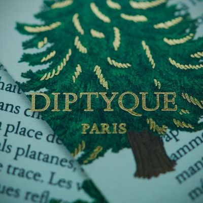 Maîtrisez le labyrinthe administratif : votre boussole pour des litiges réussis