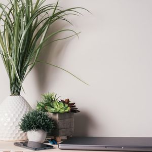 Drupal 7 : Votre Passeport pour la Maîtrise Complète du Web