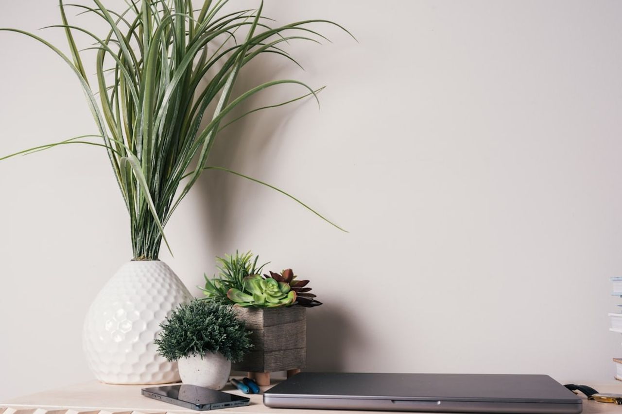 Drupal 7 : Votre Passeport pour la Maîtrise Complète du Web